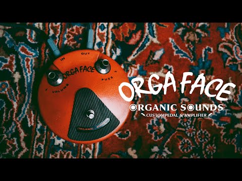 Organic Sounds - Orga Face NKT Edition (True Fuzz Face replica) image 17