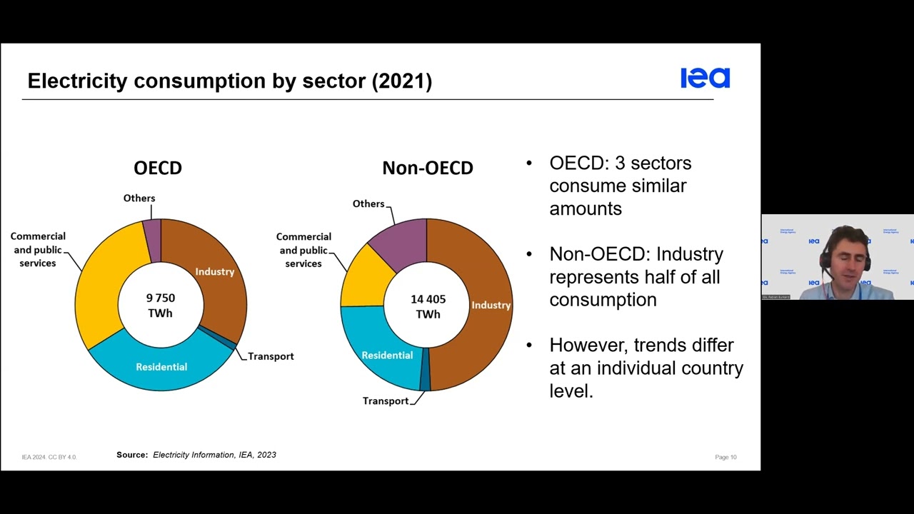 Webinar: IEA Energy Statistics Training 2024 - Electricity