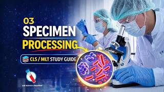 03 Microbiology Specimen Processing Explained | CLS / MLT Clinical Lab Workflow