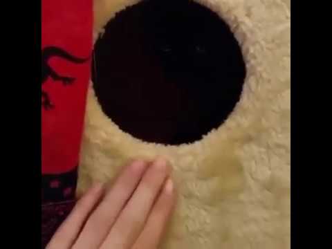 Как выглядит настоящая 