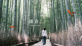 「夏の鎌倉・江ノ島さんぽ」カフェ・雑貨・ご飯・お寺・温泉などのおすすめを気ままにめぐる小旅行