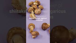 4Life Transfer Factor Plus - Superior Patented Immune System Support with Super Mushrooms