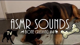 Download lagu Dried Kangaroo Bone & Jerky Crunching | Raw Dog Food Mukbang & ASMR #4 mp3 Download lagu Dried Kangaroo Bone & Jerky Crunching | Raw Dog Food Mukbang & ASMR #4 mp3