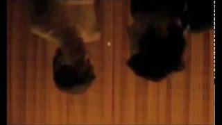 Blonde Redhead - Harmony