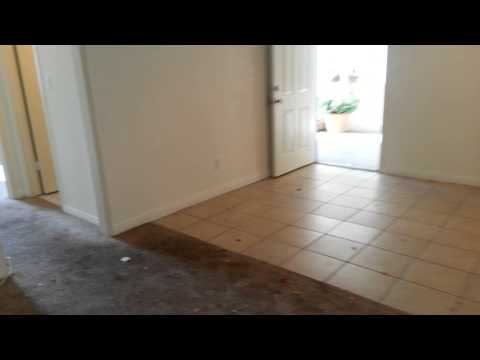 Spacious 2 bedroom 2 bathroom apartment