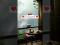 Minnum Pani Charal ️ Lovestatusetamil Rainystatusetamil