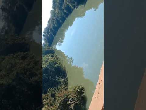 Rio Paraná Flores de Goiás #interiordegoias #ríoparaná #viagem #turistando  Parte 2