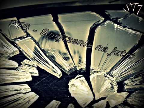 PTS - Spojrzenie na jutro