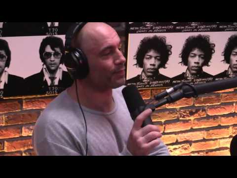 "The Alex Jones Experience"