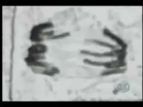 The Big Bang Theory theme song – Zeina Azar's Animation Blog