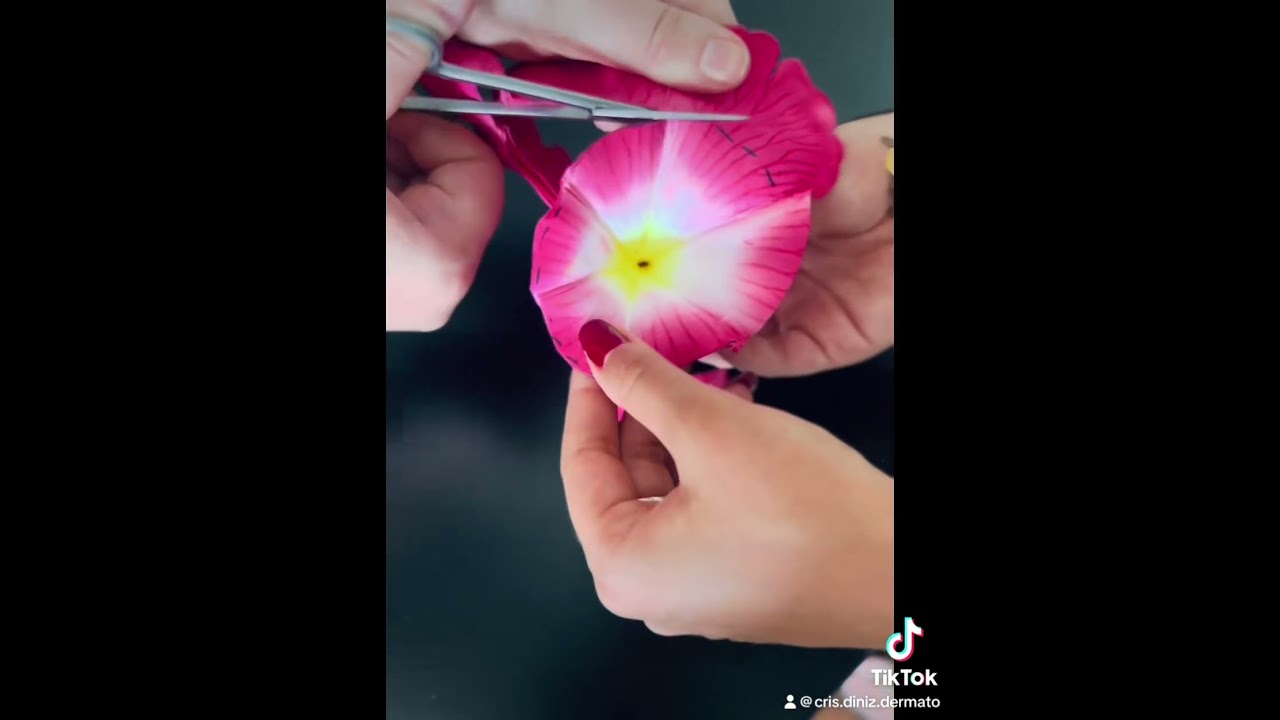 Ana Cristina Diniz Silva-11