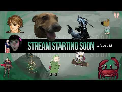 FIRE EMBLEM RADIANT DAWN IRONMAN PART 5