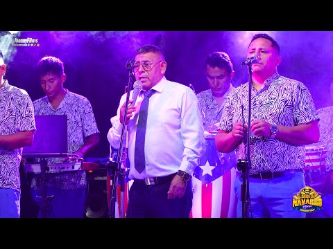 HAY CHIQUILINA MIX...EL GATO FELIX NAVARRO Y SOMBRA AZUL en 4K- FELIZ 41 AÑOS DE VIDA ARTISTICA 2025