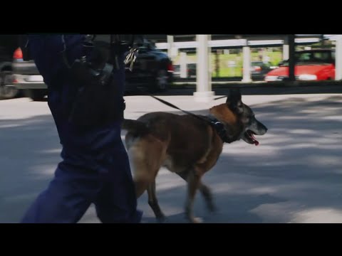 Huumekämpän etsintä - Poliisit Oulu