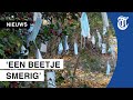 Mondkapjesboom: ‘Hoop dat het een nieuwe trend wordt’