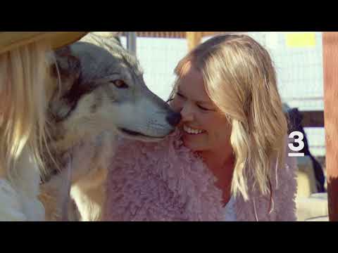 Svenska hollywoodfruar trailer