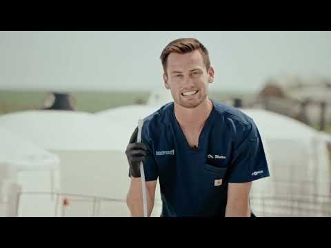 How to Tube a Calf with Dr. Spencer Wolter