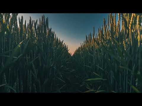 Dj Antoine Vs Empire Of The Su - Walking On A Dream (Mash Up)