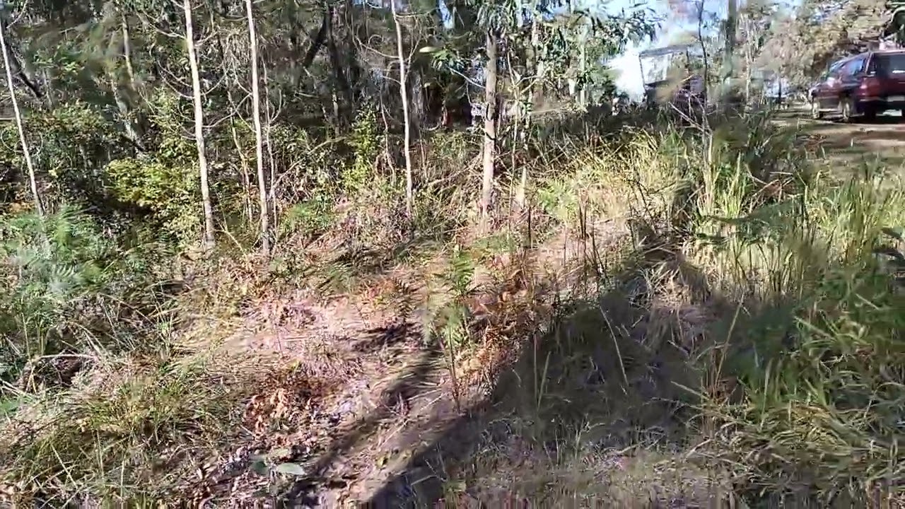 Property Video 53 Hume Street, RUSSELL ISLAND QLD 4184