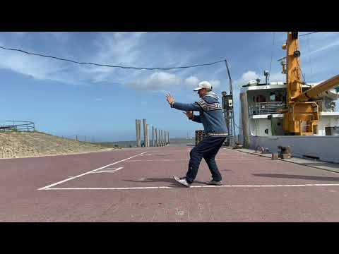 Tai Chi 24-Form - Image 5 Playing on the Pipa - with spoken instructions 太極拳24式