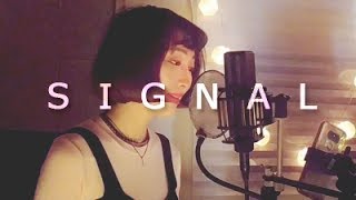 Twice(트와이스) - Signal(시그널) (Cover by Pink Noise)