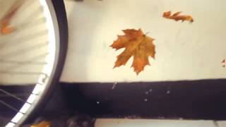 Download lagu JJ Lin - LOVE U U (Cats MV version) mp3 Download lagu JJ Lin - LOVE U U (Cats MV version) mp3