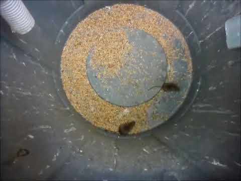 2017 11 23 Die Sendung mit der Maus