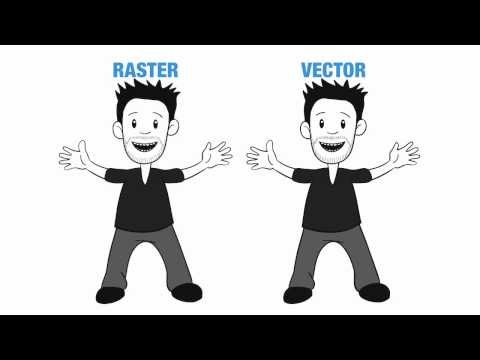What Are Vector Graphics?