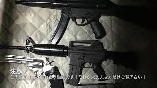 実写！主が初めて実写っぽいのを撮ってみました！！