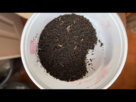 How to make banana peel fertiliser  #fertilizer #bananafertilizer #organicfertilizer 