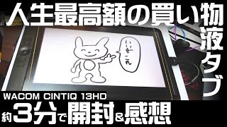 液晶タブレット Wacom Cintiq 13HD 開封&レビュー(ゆっくり付き)