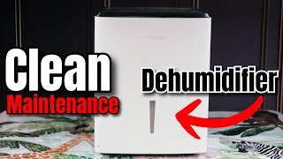How To Clean Maintenance Dehumidifier Easy Simple