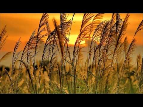 Alexander Volosnikov - Kite (Original Mix)