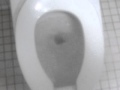 Picture And Video 142 MOV
