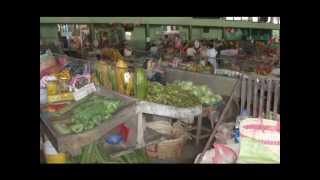 preview picture of video 'Nicaragua Vacation 1 Las Penitas, Animals, Shopping'