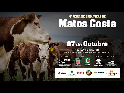 4º Feira de Primavera | Matos Costa, SC 07/10/2025 | Tarumã Remates