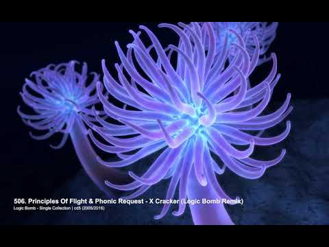 Principles Of Flight & Phonic Request - X Cracker (Logic Bomb Remix)