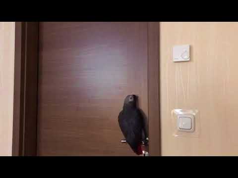 https://www.youtube.com/watch?v=MoHXfTAsJXU
