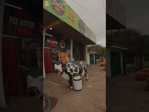 CAMINANDO AL COSTADO DE LA RUTA. Marcos Paz, Buenos Aires (parte 1/2) [4K 60fps]  #marcospaz #travel