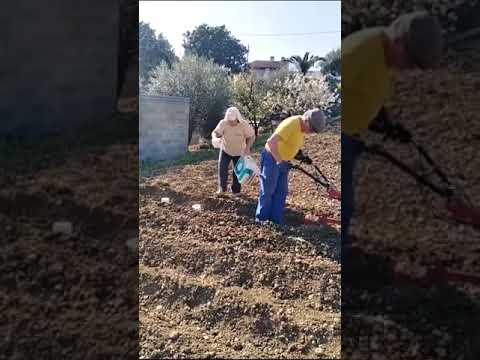 הפתרון לבעיית המחסור בנייר טואלט - סרטון מצחיק!