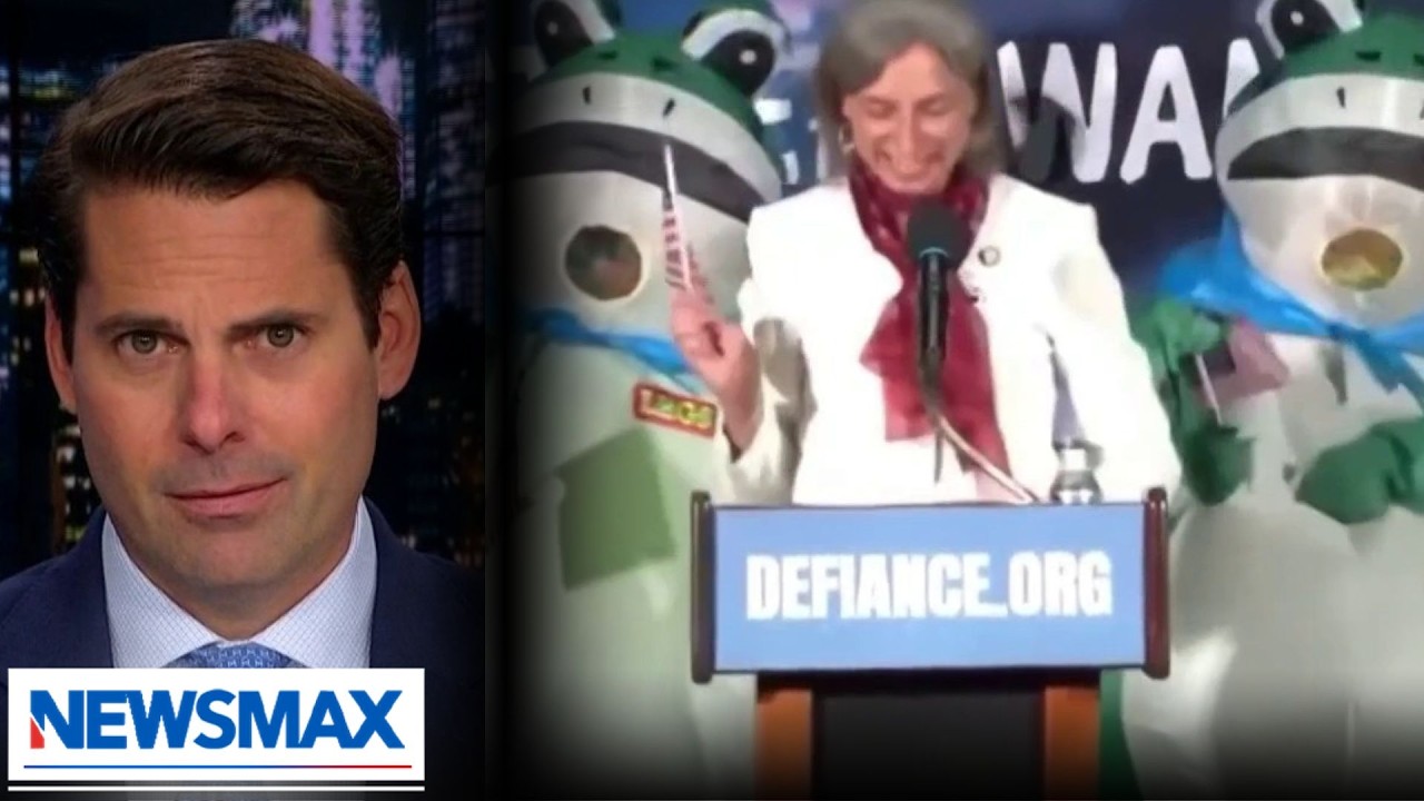 Rob Finnerty recaps Democrat protest events, questions Dems: ‘Are you really on that side?’