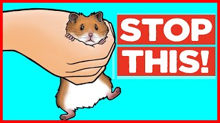 Download lagu 18 Things Hamsters Hate mp3 Download lagu 18 Things Hamsters Hate mp3