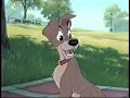 Lady And The Tramp 2 Scamp S Adventure Promo Next 1 2004