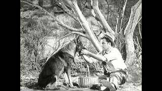 Ricked Wicky - This Has Been My Picture