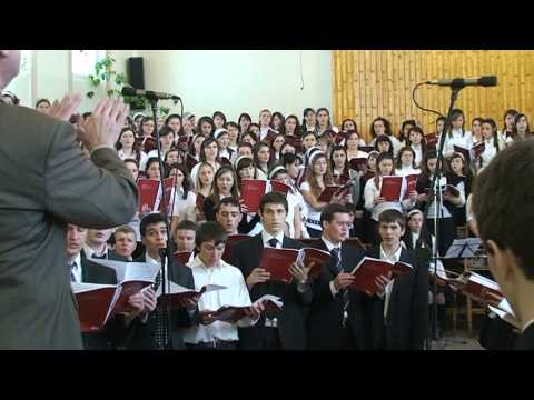 IN MIJLOCUL LAUDELOR - COR