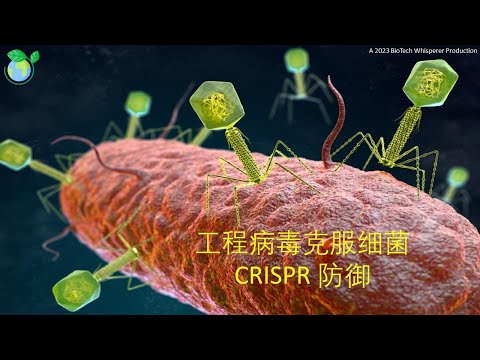 Visão geral microbiológica da operação do sistema CRISPR (chinês)