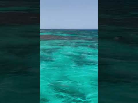 Egypt. Hurghada. Red sea. Jasmine Palace Resort and Spa