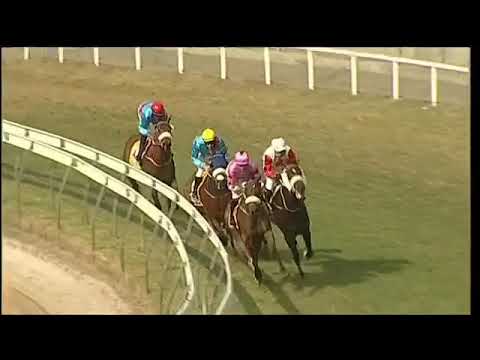 2020.10.04 Maiden Cup (MRI) - Alshibaa