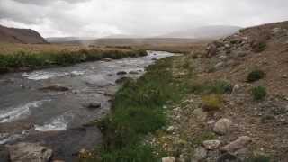 preview picture of video '2014 Mongolia 28 Bayan-Olgii aimak Bulgan gol Birdwatching'