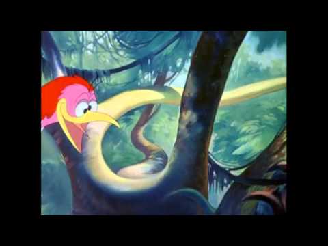 The aracuan (THE ORIGINAL ONE)